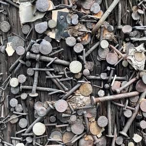 Meet your Posher, Carmella